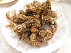 -玲姐海鲜大排档烧蚝王(横琴长隆总店)