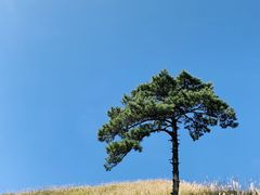 -萍乡武功山风景名胜区