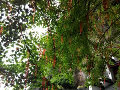 android_upload_pic-大慈岩风景区