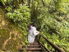 -龙苍沟森林公园
