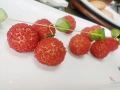 -常州花鸟园酒店(西太湖品牌优选店)