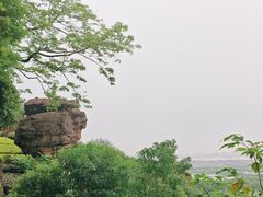 -广州莲花山旅游区