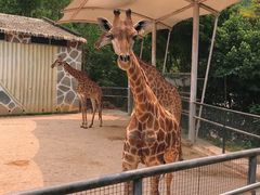 -泉州海丝野生动物世界