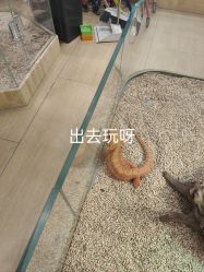 -小象动悟公园(龙湖亦庄天街店)