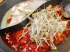 -鸿姐老火锅·传统炒料(上海旗舰店)