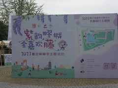 -嘉定紫藤园