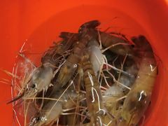 -会江钓鱼钓虾烧烤场