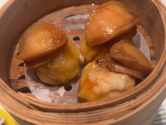 -ManHo万豪中餐厅(成都茂业JW万豪酒店)