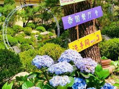 -熙古里艺术村