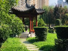 -西北大学(桃园校区)