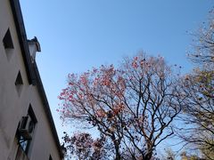 -塔川景区