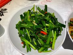 韭菜炒香菜-壹盏灯(惠农店)