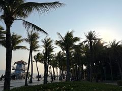 -深圳湾公园(南山区)