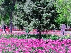 -长春公园(普阳街道)