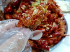 蒜蓉虾-辣螃铠盆盆蟹大排档(总店)