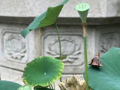 -江阴君山寺