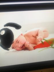 -毛毛虫儿童摄影馆