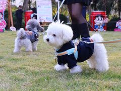 -上海神旺大酒店