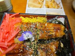 -鳗鱼家·深夜食堂(军博店)
