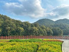-广州市石门国家森林公园