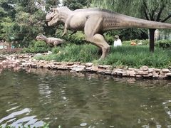 -北京野生动物园