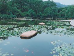-白马涧龙池景区