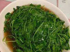 -蘭心餐厅(进贤路店)