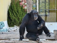 -西霞口神雕山野生动物世界