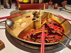 -小龙翻大江文化火锅(宽窄店)