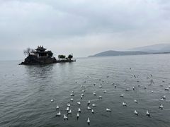 -小普陀