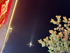 -瑞丽活螃蟹(芒市店)