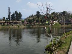 -枫香湖儿童公园