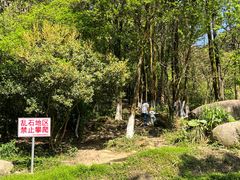 -火炉山森林公园