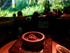 -地球美食剧场