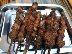 -民族烤羊·烤羊肉串·烤羊排(南城店)