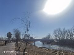 -东郊湿地公园