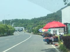 -苏州太湖西山岛开心农场
