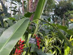-北京植物园-展览温室