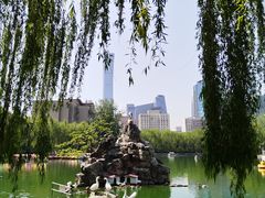 -团结湖公园