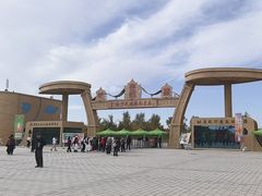 -金塔沙漠胡杨林景区