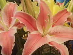 -时间仓(月湖公园店)