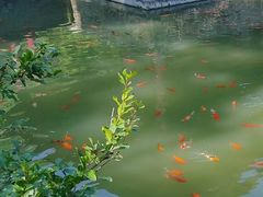 -华清宫景区