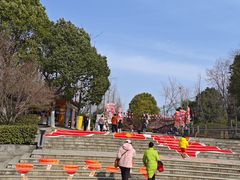 -合肥野生动物园