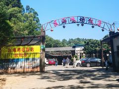 -区海鸡场饭店(石壁店)