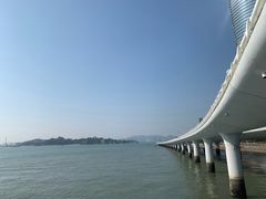 景点-演武大桥观景平台