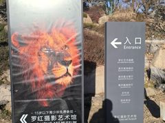 -罗红摄影艺术馆