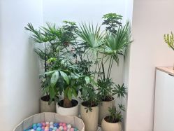 -妈妈时光机医疗产后修复(南山茂业百货店)