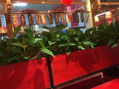 大堂-谭鸭血老火锅(万象九宜城店)