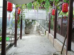 -美家乐农庄·露营·团建(大治路店)