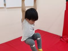 -自然树儿童之家(海珠翠城花园托育.早教校区)